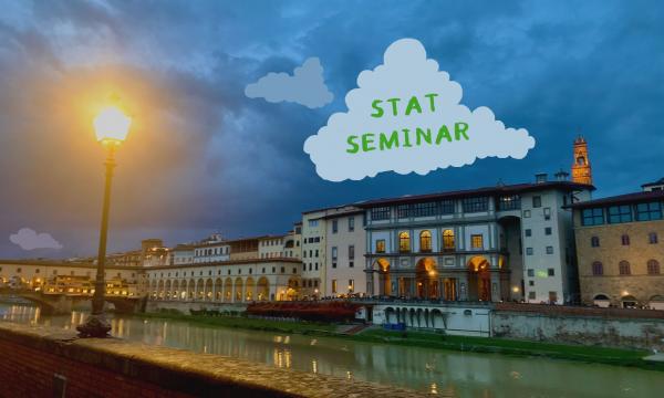 Prossimo seminario del Dottorato, curriculum Statistica: 19 Novembre 2025
