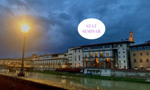 Prossimo seminario del Dottorato, curriculum Statistica